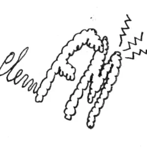 plemfm FM