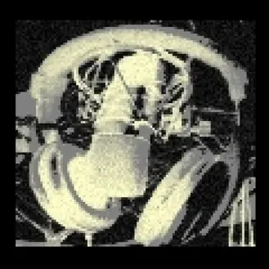 schwarzeszene FM