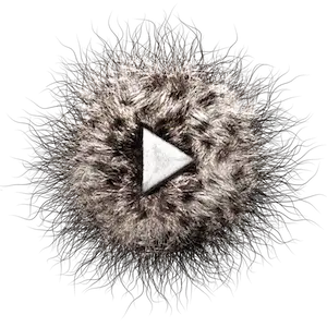 Phaune radio Radio
